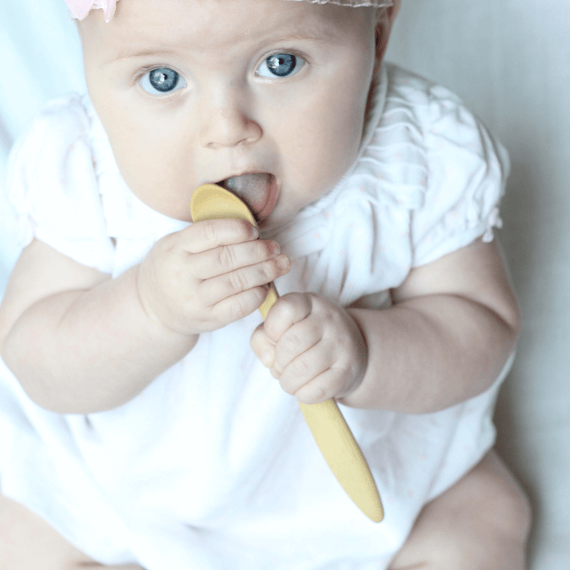 baby holding spoon