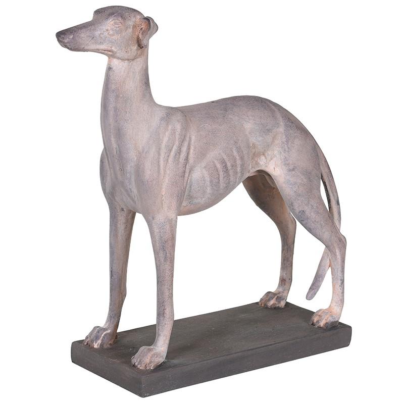 small whippet