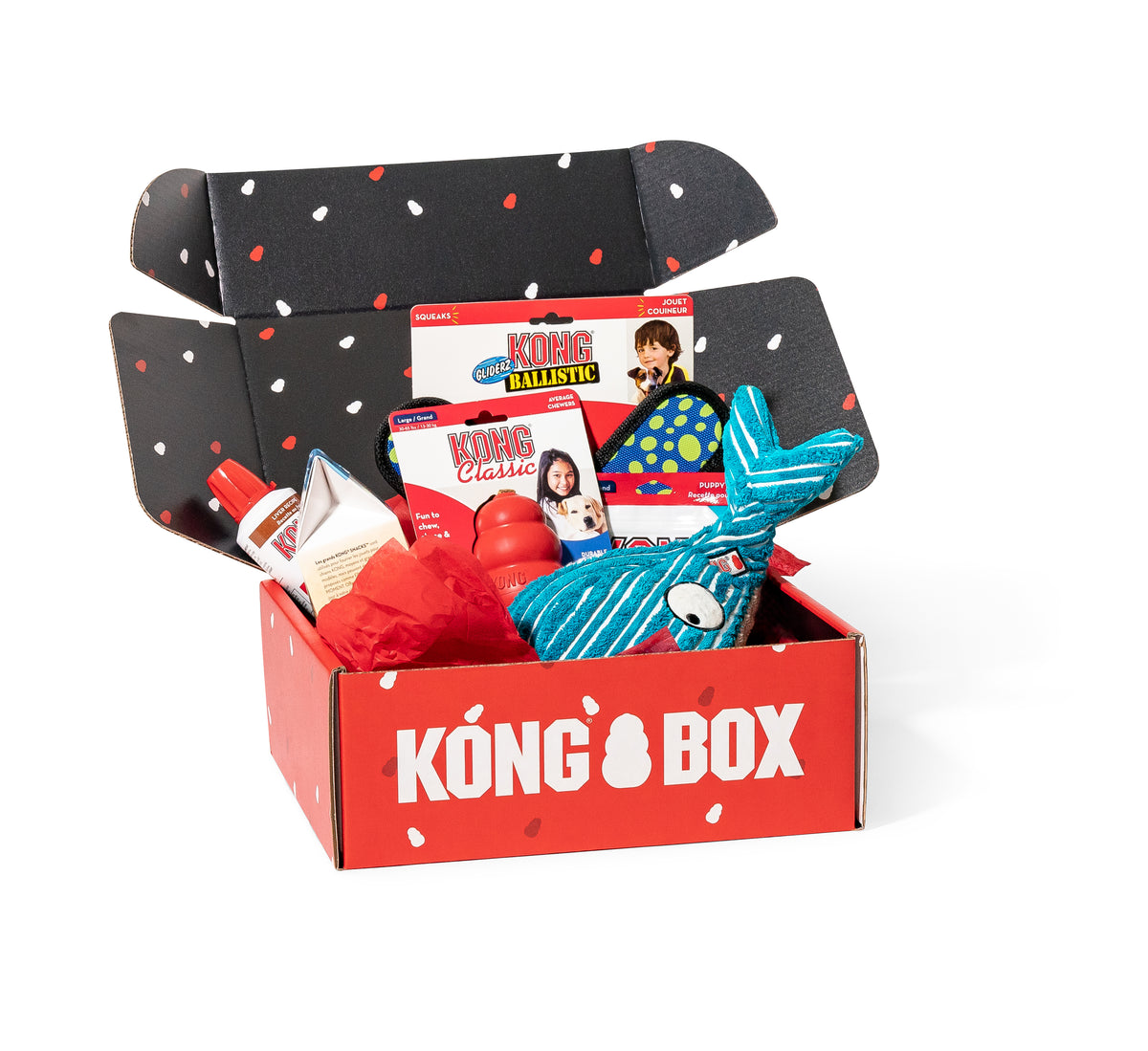 Monthly Dog Subscription Box Kong Box