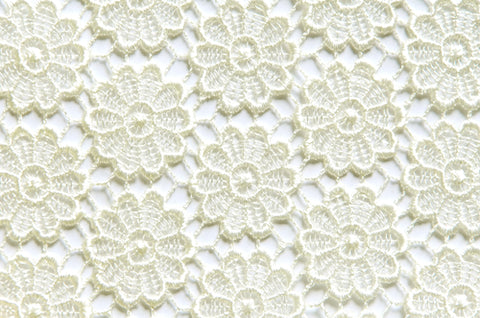 Cream lace