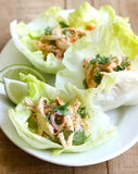 asian chicken lettuce wrap recipe by season with spice shop