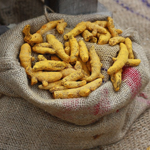 what is turmeric?