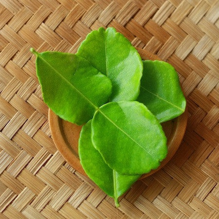 Fresh kaffir lime leaves 