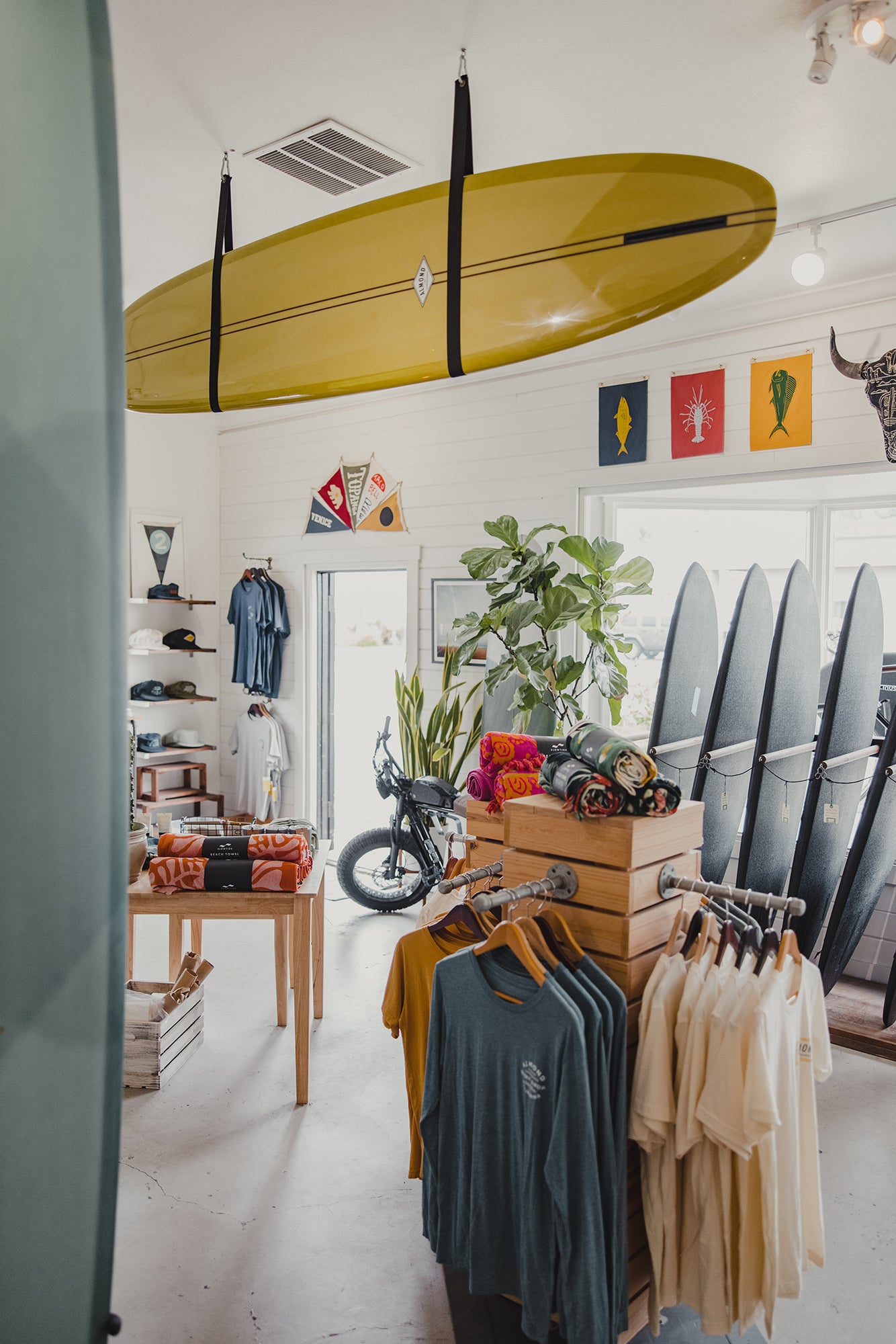 Surf Shop View: August 2021 | Almond Surfboards & Designs