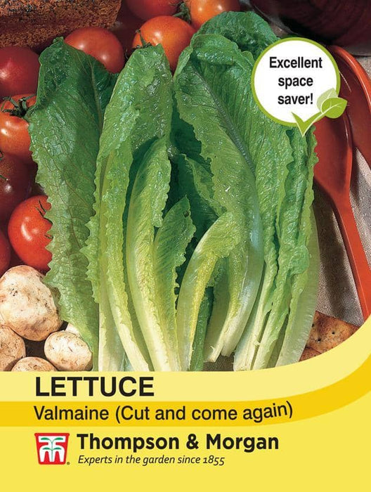 Thompson & Morgan (Uk) Ltd Gardening Lettuce Valmaine (Cut And Come Again