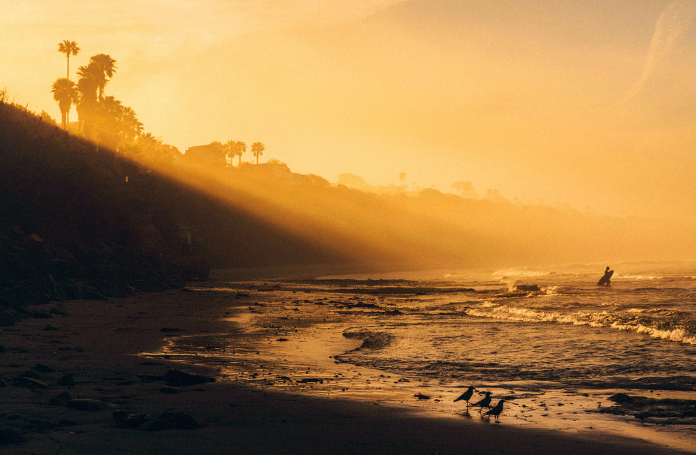 Sun breaking through the clouds illuminating a surfer as they walk out to sea.