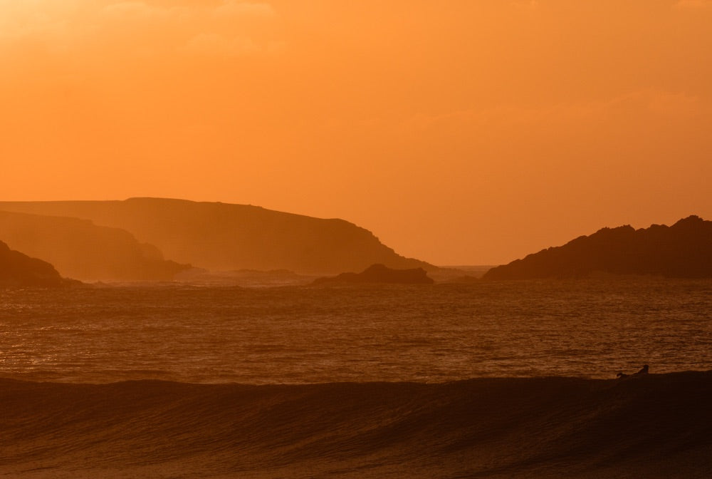 A wave begins to form a barrel with a forest scene enveloping the landscape in the distance.