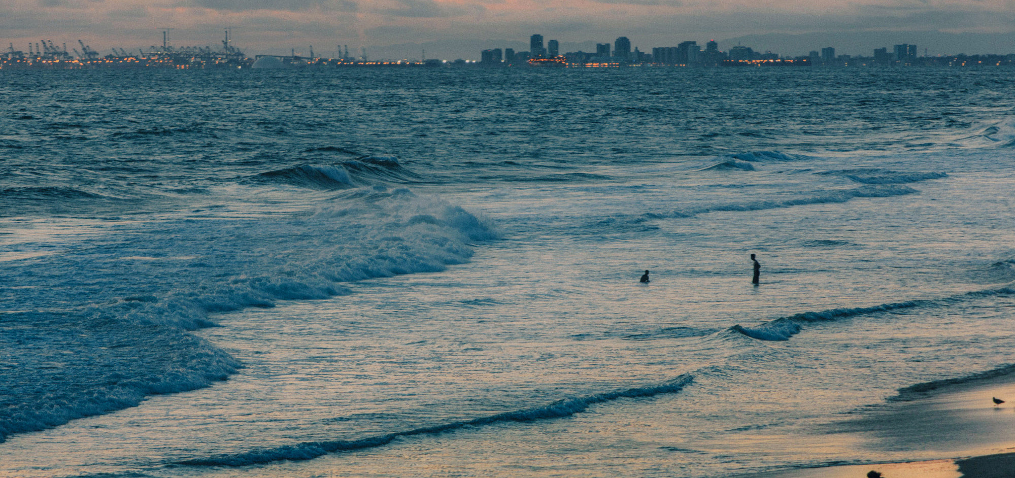 Swimmers in the surf at dusk