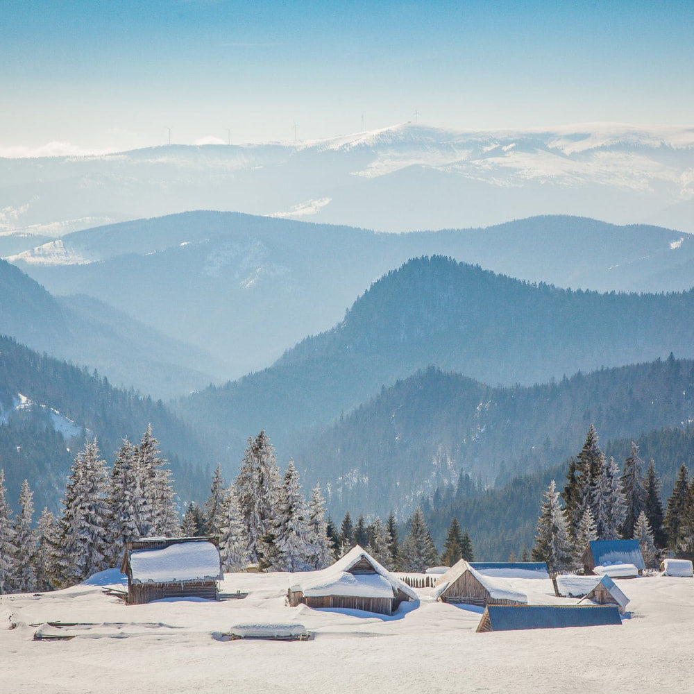 Cabins buried and covered in snow with forest and mountains in the background