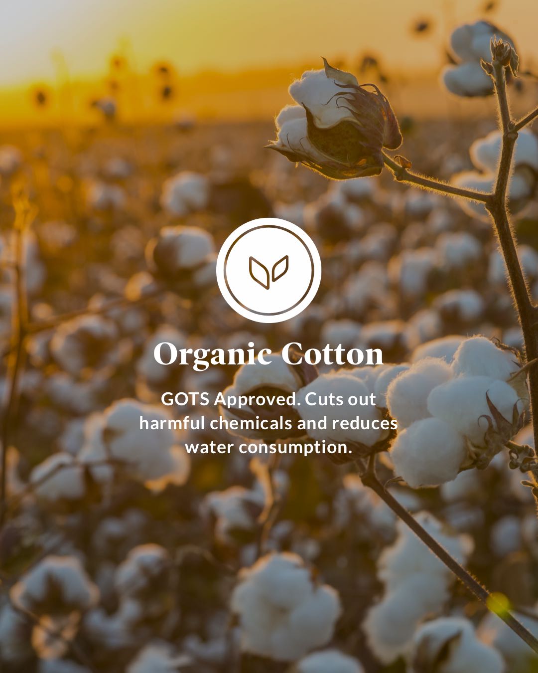 Organic Cotton - GOTS Approved. Cuts out harmful chemicals and reduces water consumption.
