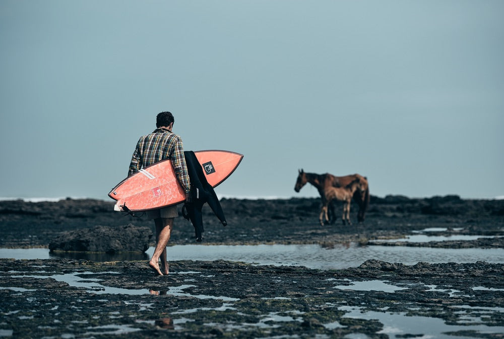 Sense of adventure: A surfer walks across an exposed rock shelf as horses search for food near by