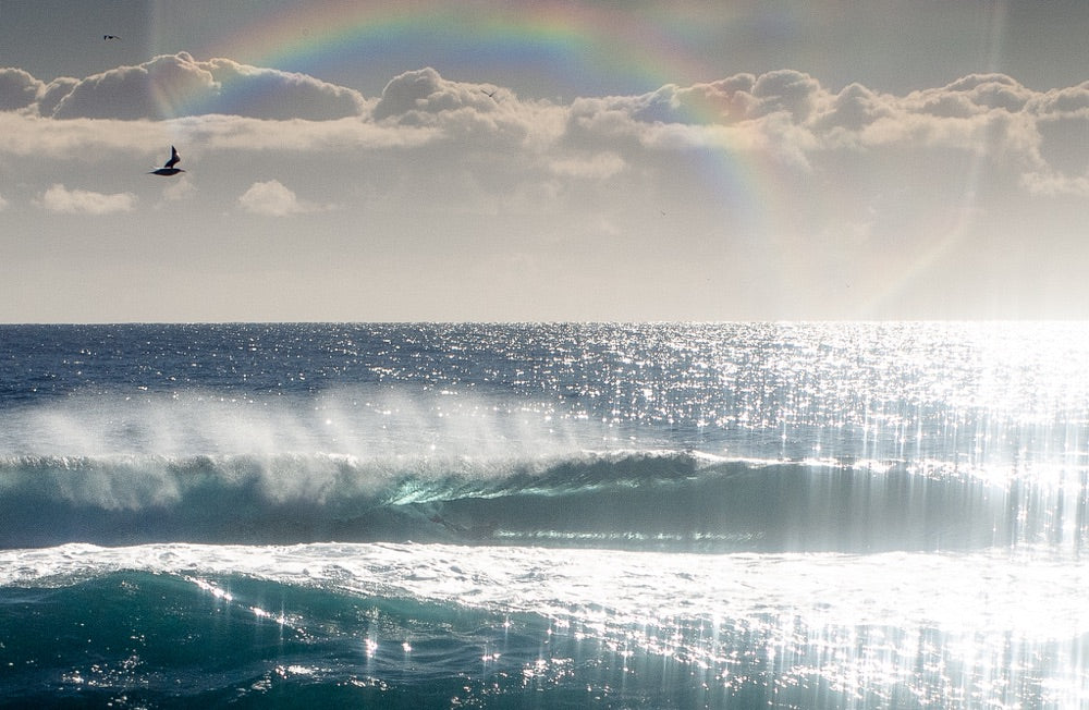 A set of barreling waves roll in as the sun glistens off the water