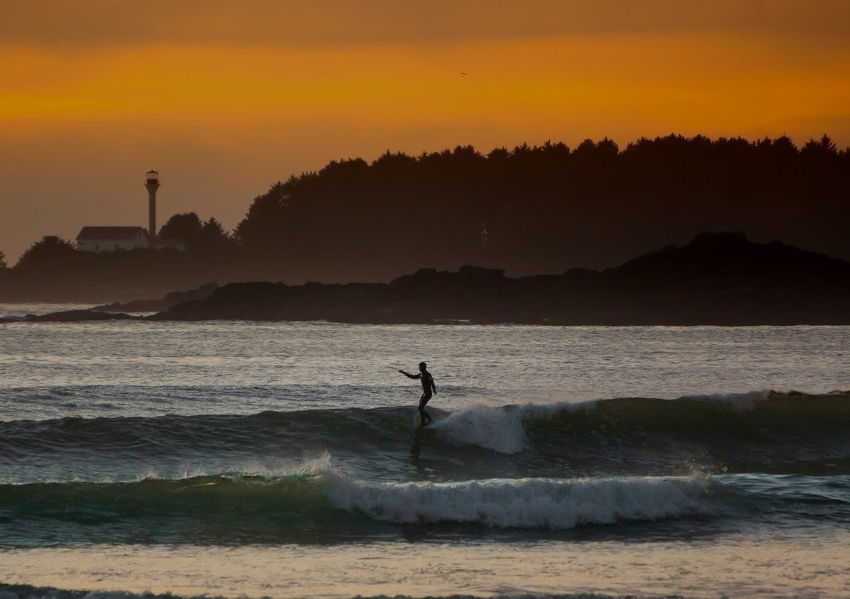 Waves & Trees