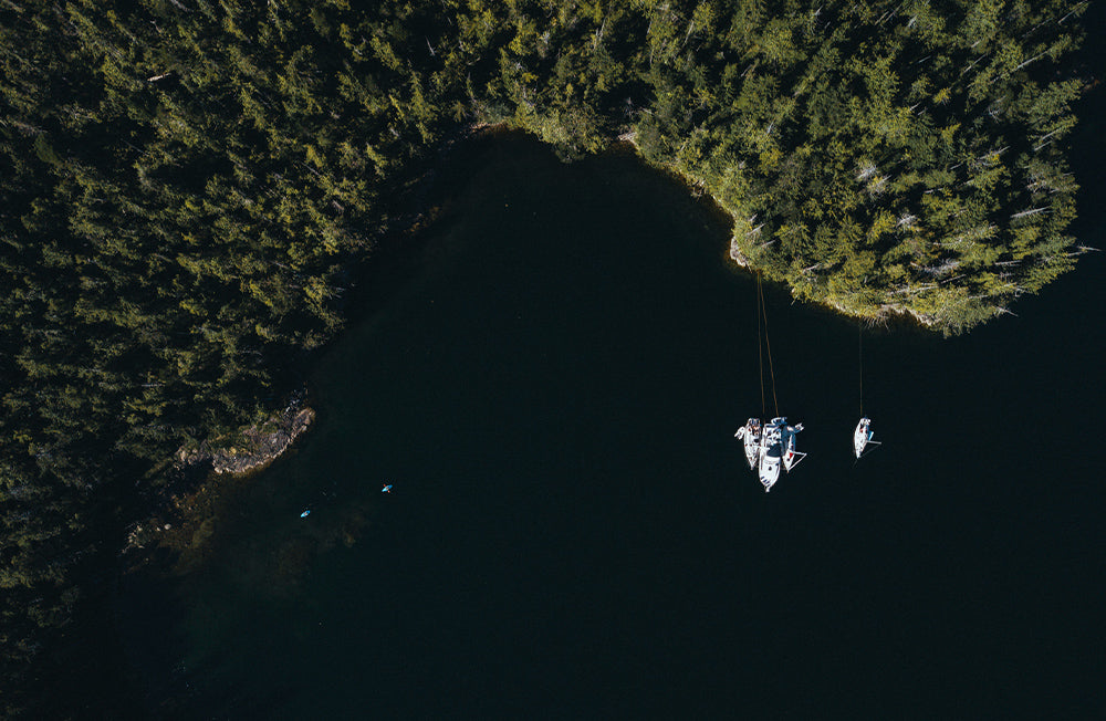 Aerial view of boats tethered together next to dense trees