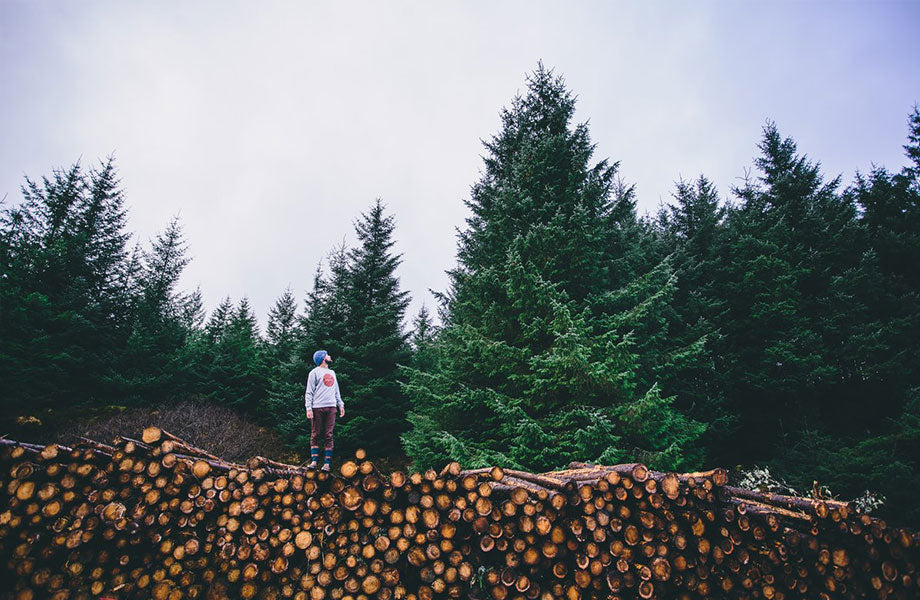 Barry Mottershead on log stack