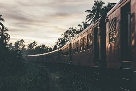 CHASING THE SALT WATER TRAIL