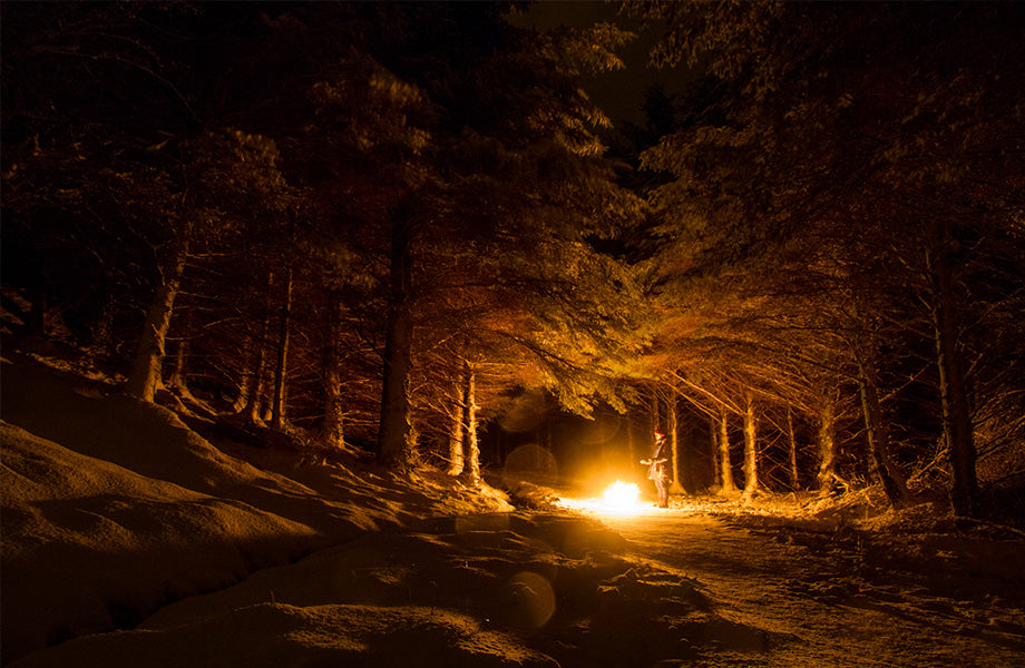 Winter in England forests