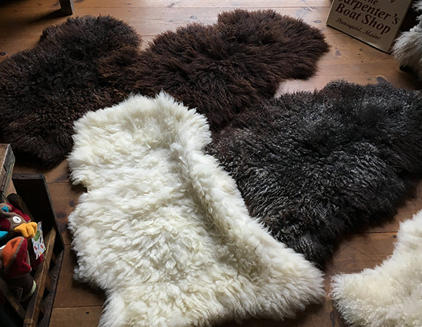 The Good Supply in Pemaquid Maine Midcoast Artisan Store Gotland Sheep Pelt Sheepskins for Sheepstock 2020 Made in USA