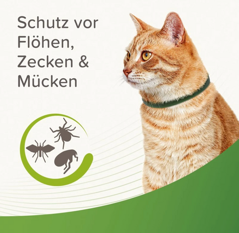 Katzenhalsband mit ätherischen Ölen - Anti Zecken & Flöhe Halsband für Katzen