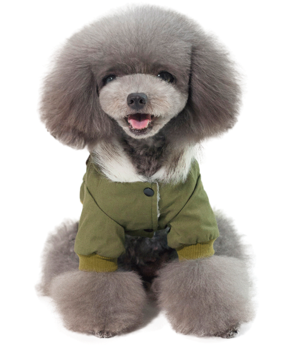 HUNDE WINTERJACKE PARKA