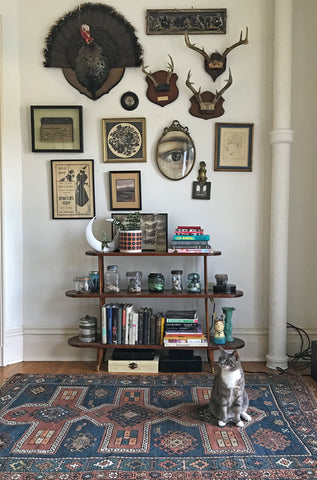 sarahs wall art with cat in foreground