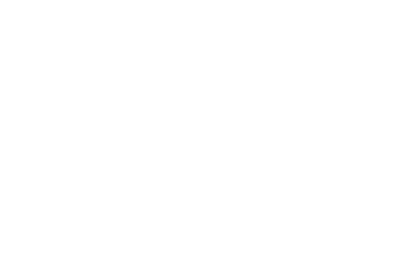 Hammertown Logo