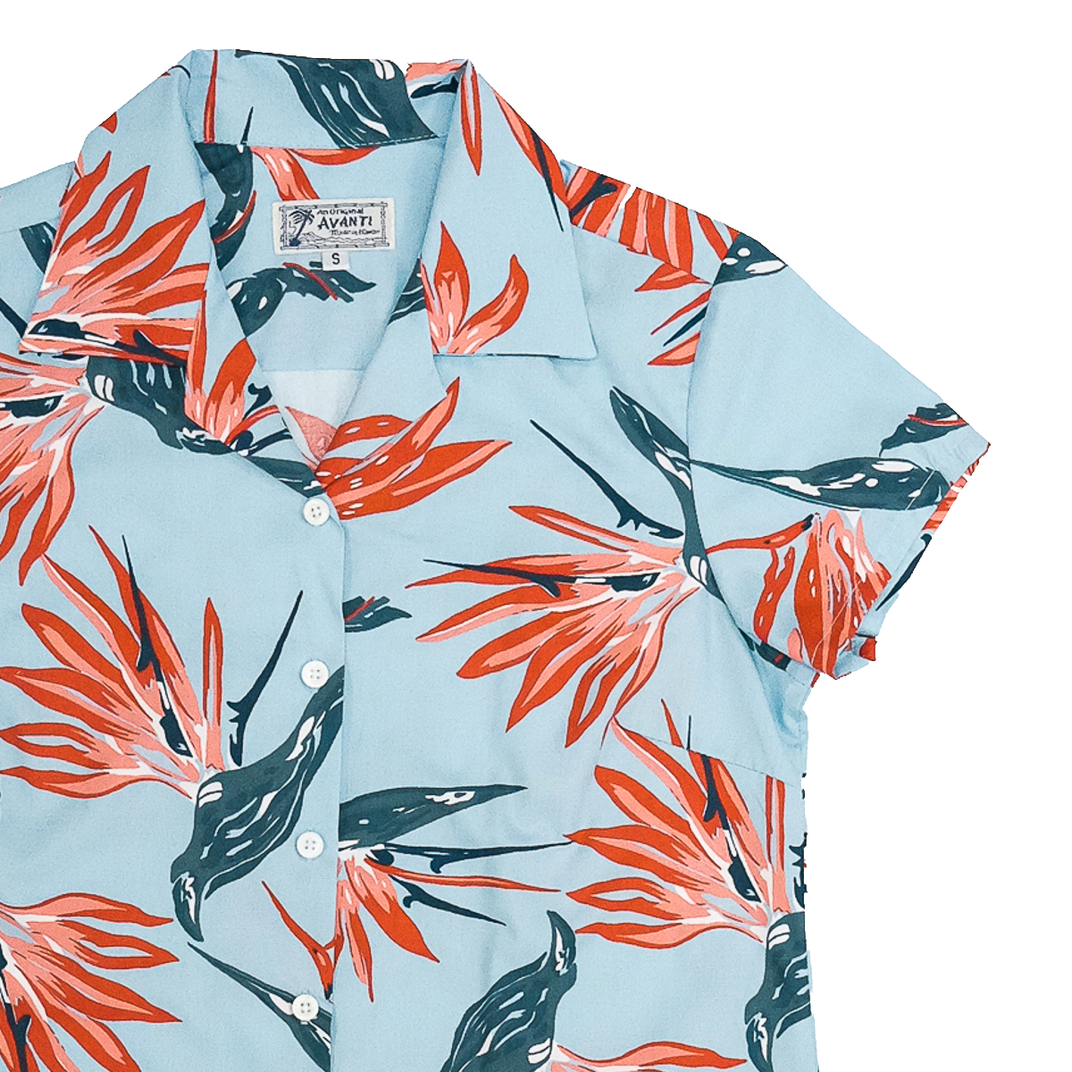 Paradise Sketch (Women's Shirt) - Sky Blue