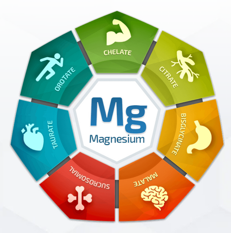 magnesium bioptimizers discount code