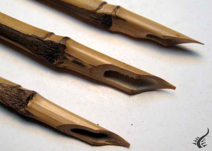 Calamus pen