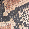 Snakeskin