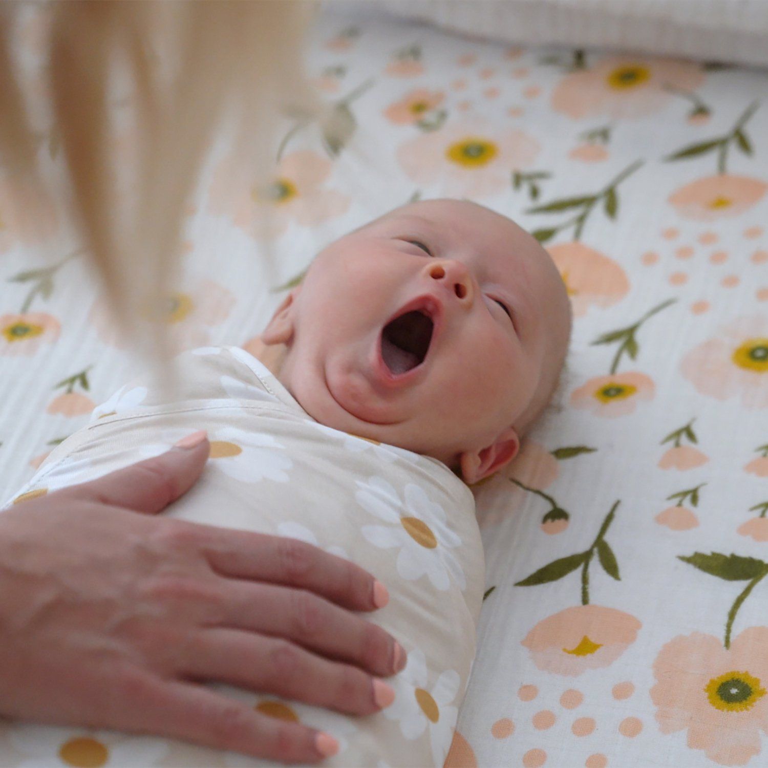 freshly picked newborn