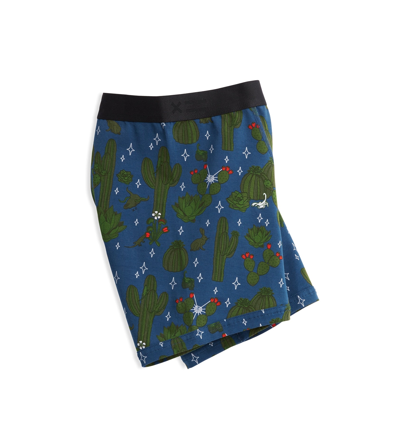 6" Fly Boxer Briefs - Desert Dreams Print