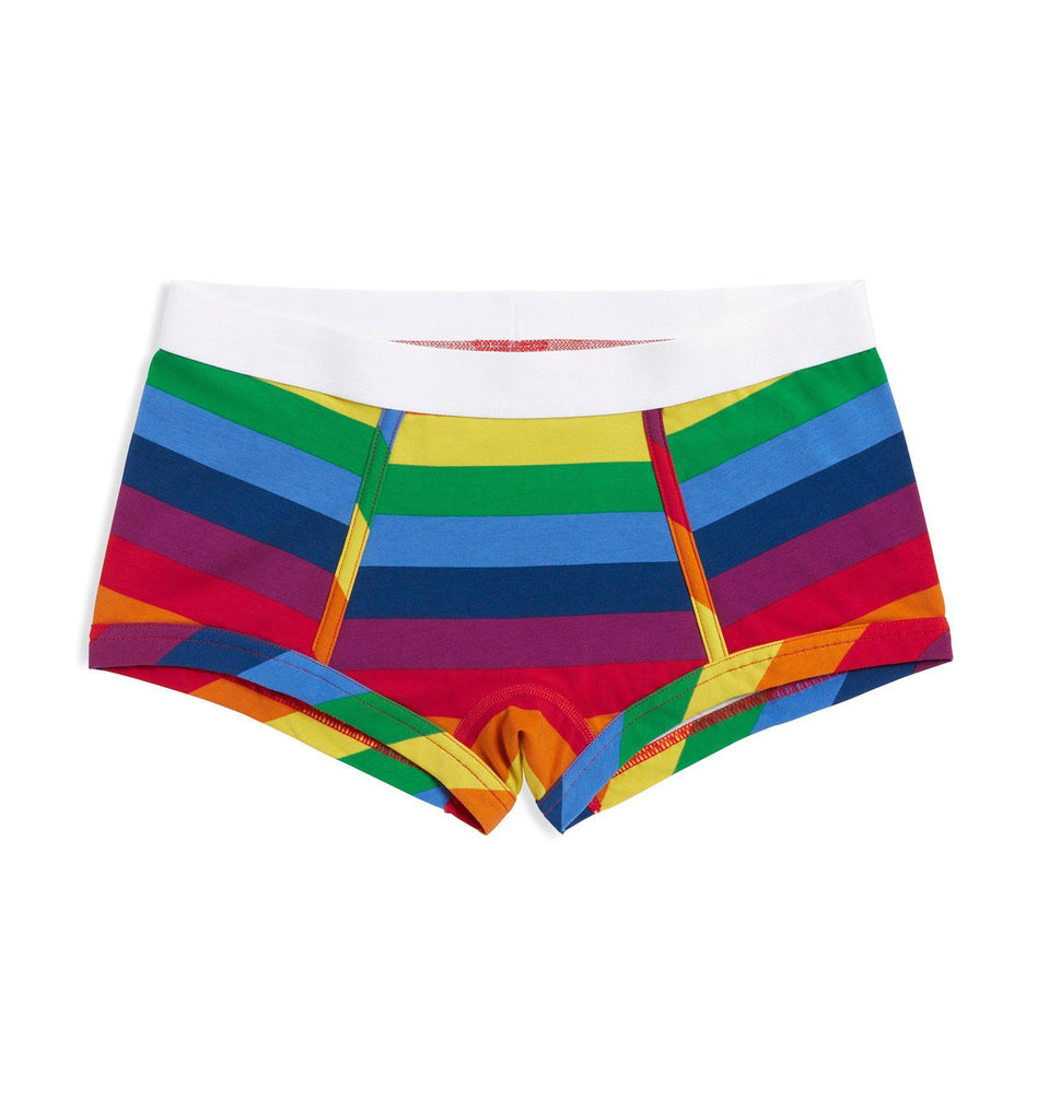 Boy Shorts - Rainbow Pride Stripes – TomboyX