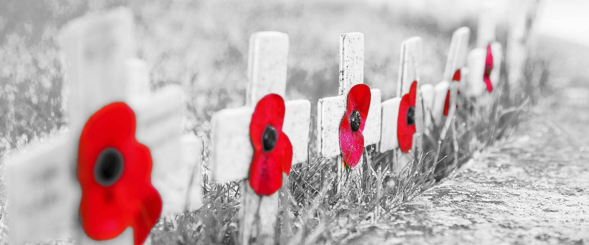 Image result for remembrance day