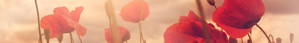 Remembrance Day gift baskets