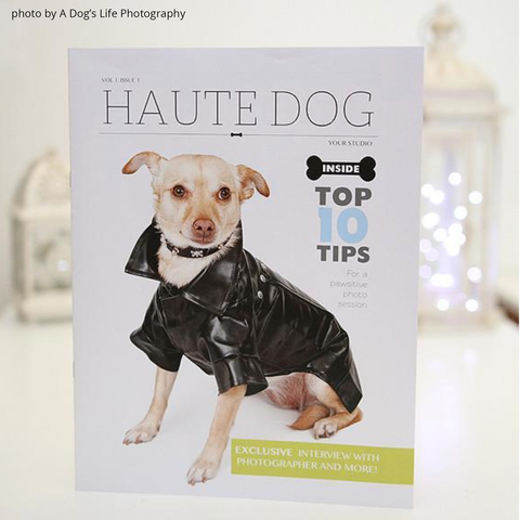 dog photography marketing template