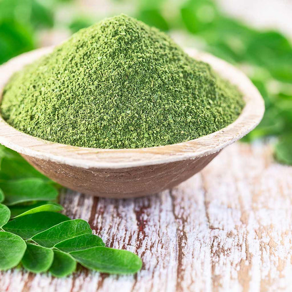 Moringa Pulver