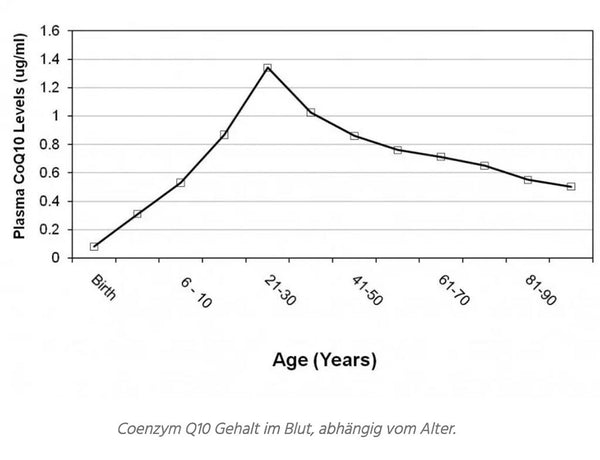 Q10 Gehalt im Körper