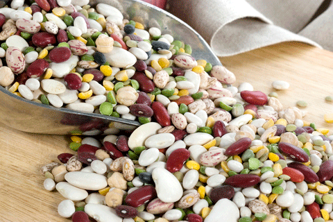 Beans, soya and lentils contain some of the highest lectins