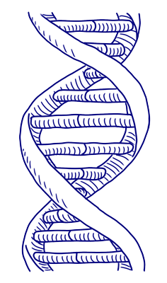 DNA testing of our response to foods is known as nutrigenomics