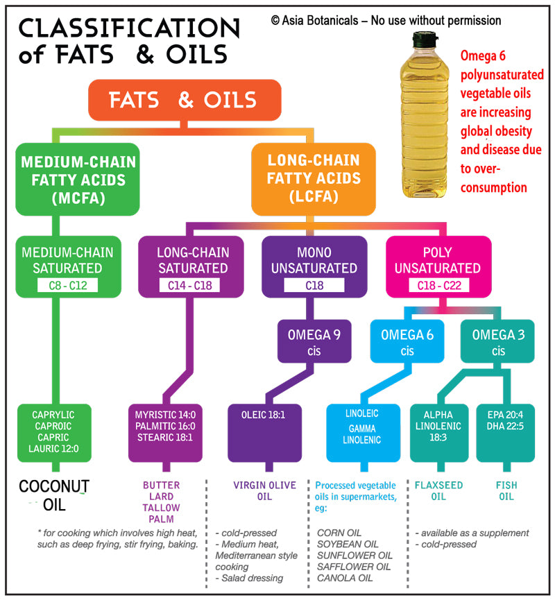 Understanding Fats and Oils and the dangers of Omega 6 Linoleic Acid