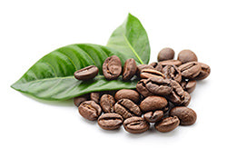 KetoCreme Coffee is made from premium Sumatran coffee beans