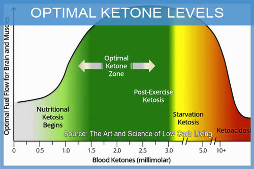 Menguji Tahap Keton dalam Diet Keto Malaysia