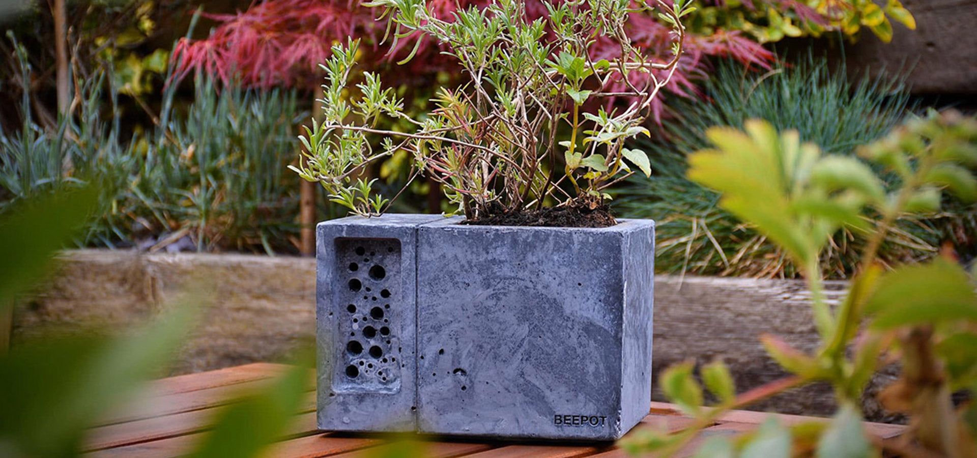 Beepot with wildlife friendly planting