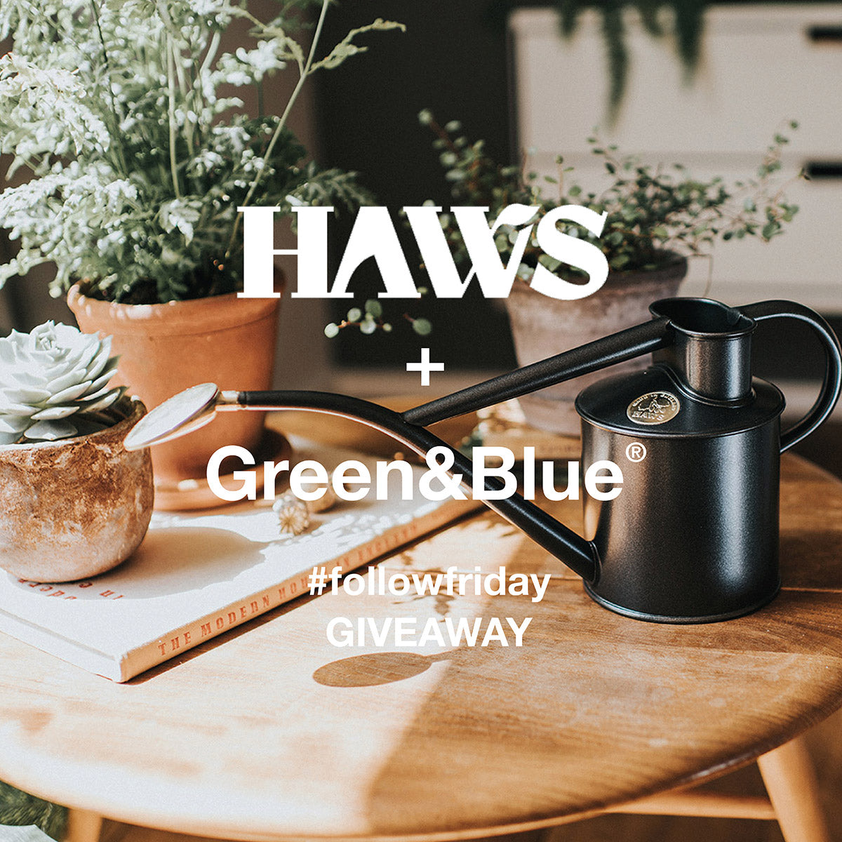 Haws follow friday competition