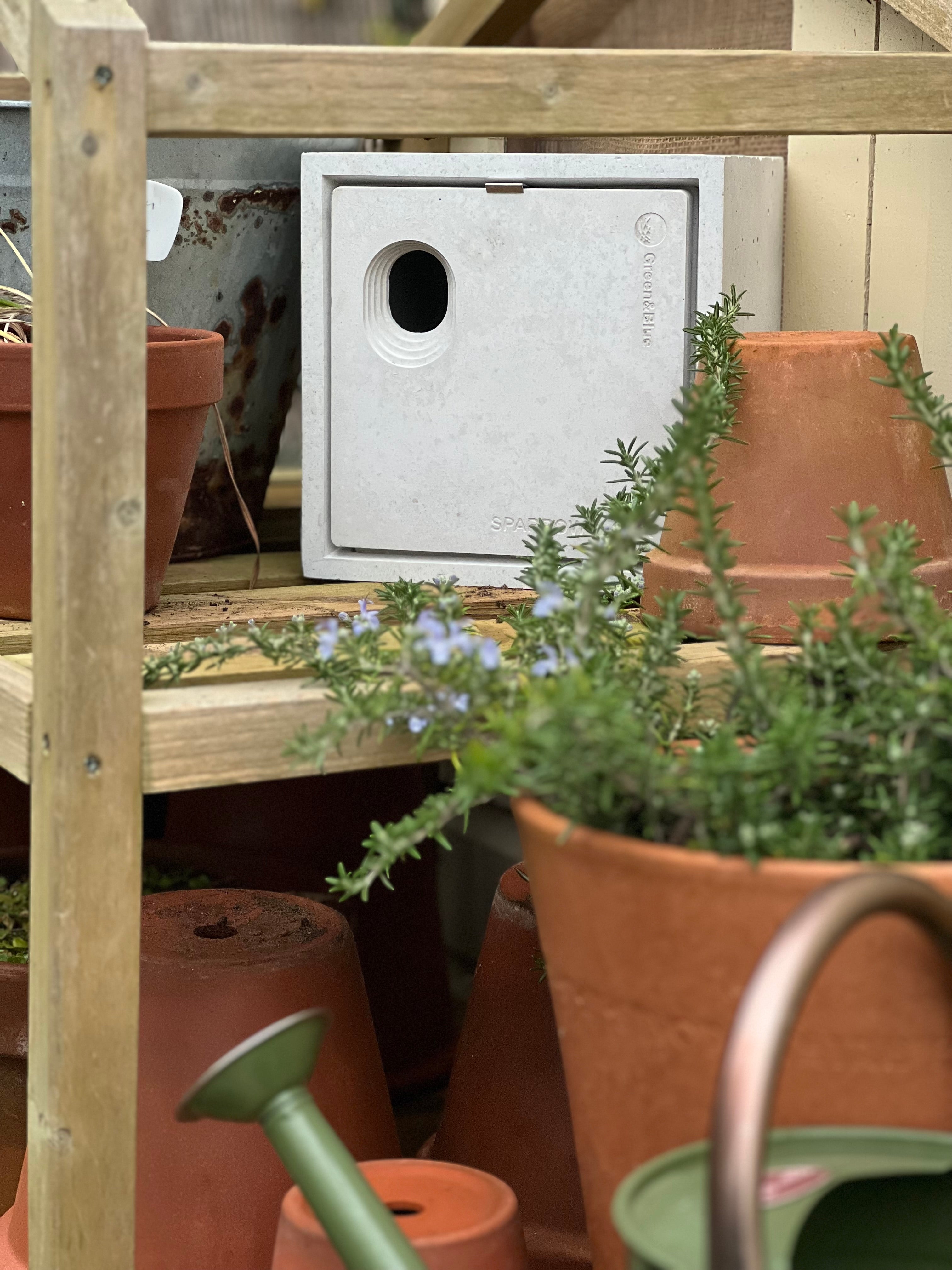 RobsAllotment photo of Green&Blue SparrowBlock