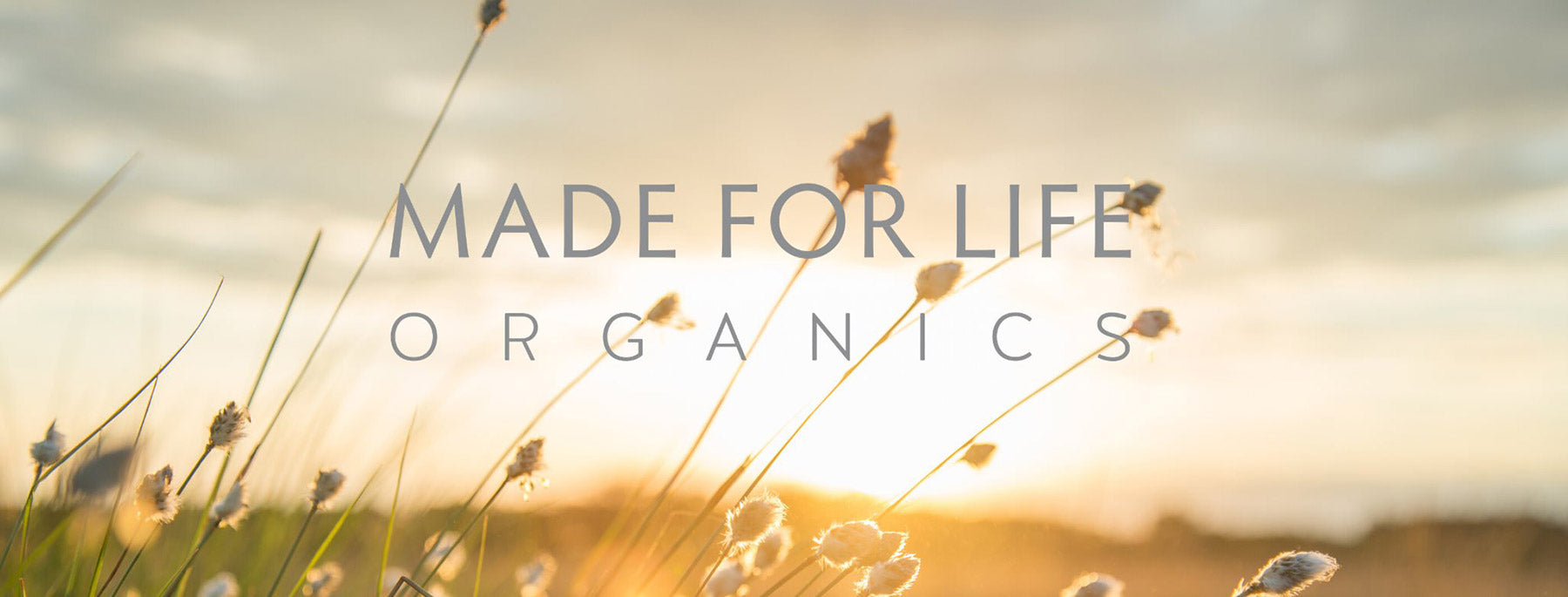 Made for life organic skincare header image