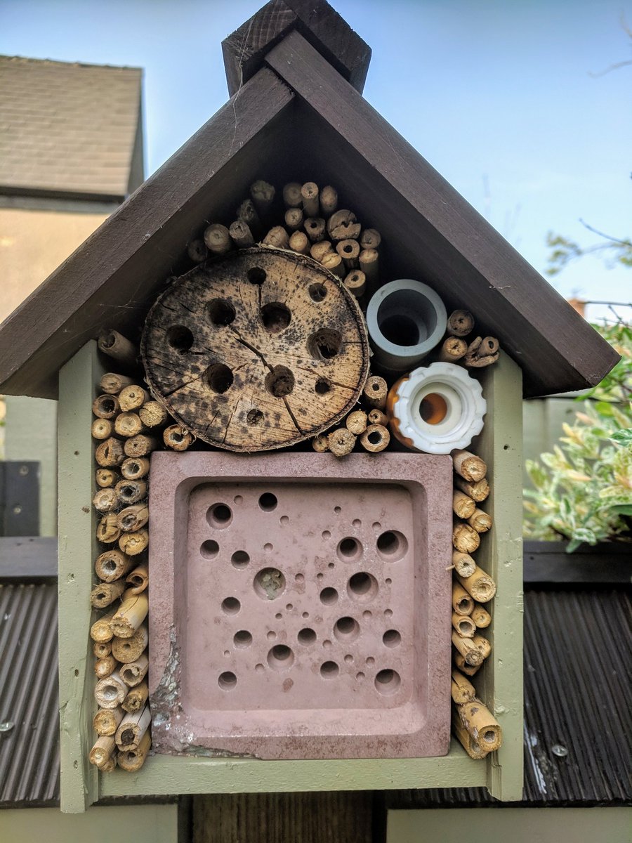 Matt's Bug hotel shared on twitter