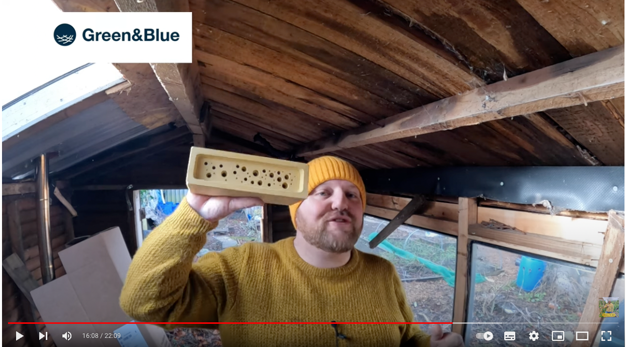 Screenshot of man in yellow jumper holding bee brick whilst talking to the camera 