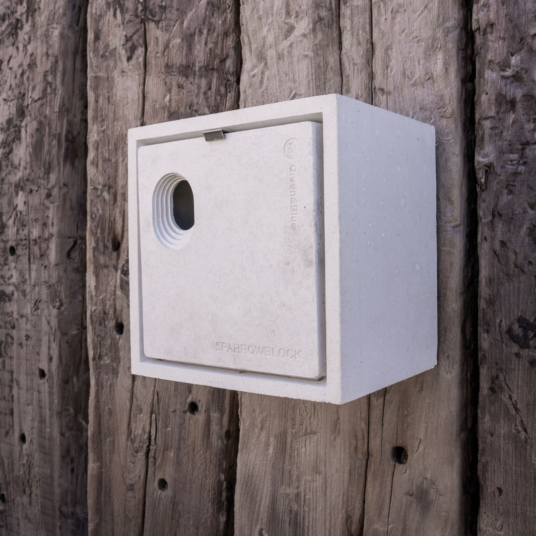 Sparrow Block bird nestbox made from concrete